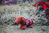 Dog in a Sweater