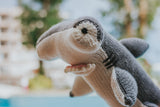 Shark
