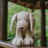 Labrador