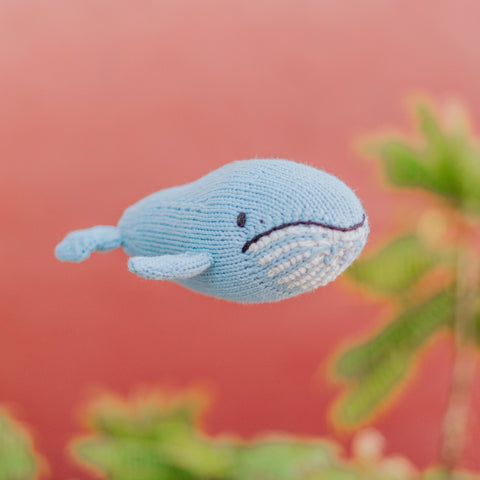 Baby Blue Whale