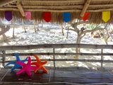 Sea Star