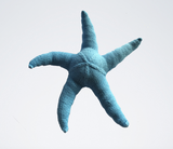Sea Star