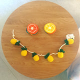 Pineapple Garland