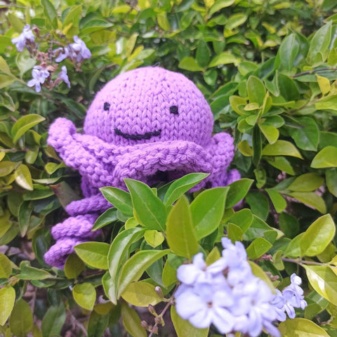 Jellyfish