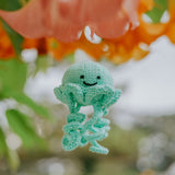 Jellyfish